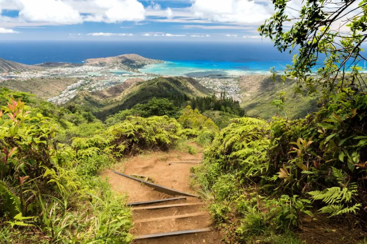 Kuliouou Ridge Oahu